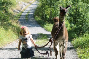 Liechtenstein_Lama-300x200 Wandern für die ganze Familie in Liechtenstein: Auf Kurs mit den Alpakas