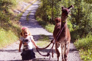 Liechtenstein_Lama_Herbst-300x200 Herbstwanderung für die ganze Familie unter goldenen Blättern: Alpaka-Trekking in Liechtenstein