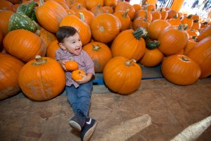 Event_Octoberfest_Falling-Leaves-300x200 Schaurig-schöne Nächte in Florida