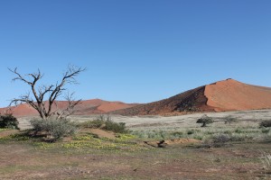 Namibia_Sossusvlei_TerraVista-300x200 Zu Gast auf namibischen Farmen