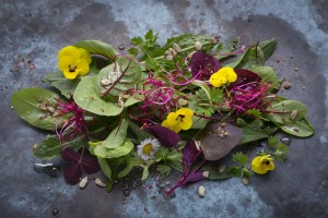 Wildkraeuter_Salat