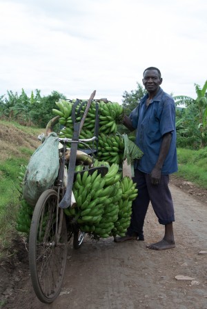 Bananentransport_Karawane_TanjaFaigle